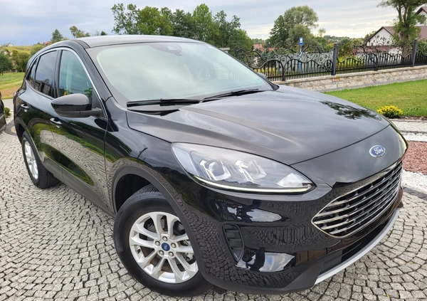 Ford Kuga cena 81500 przebieg: 33000, rok produkcji 2021 z Tarnów małe 436